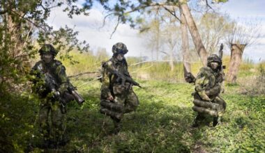 Sweden has the tanks. Finland has the troops. Welcome to the pan-Nordic army.