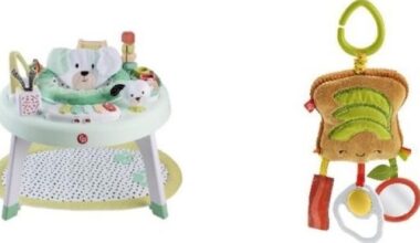 More than 6,500 Fisher-Price toys recalled in Canada over choking hazard - National