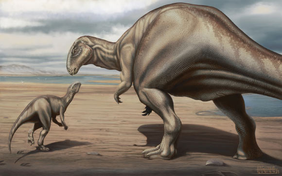 Life reconstruction of a large-sized ankylopollexian iguanodontian dinosaur interacting with a juvenile in the Late Jurassic of Europe. Image credit: Vitor Carvalho.