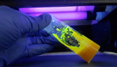 World’s first light-based chip offers 50x speed, 30x efficiency over silicon