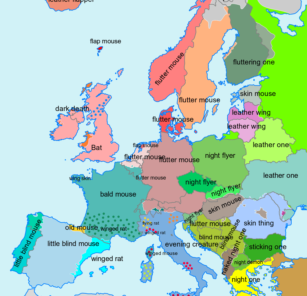 Bat, Overly Literally Translated into English [OC]