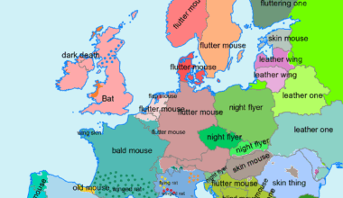 Bat, Overly Literally Translated into English [OC]