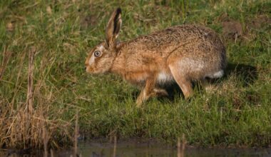 A few recent pictures from around Kent.