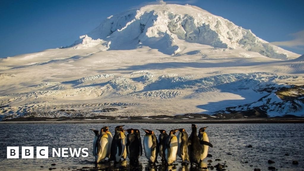Nowhere's safe': How an island of penguins ended up on Trump tariff list