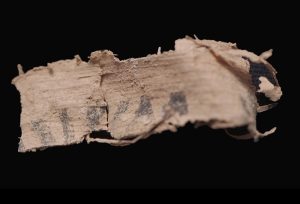 Papyrus