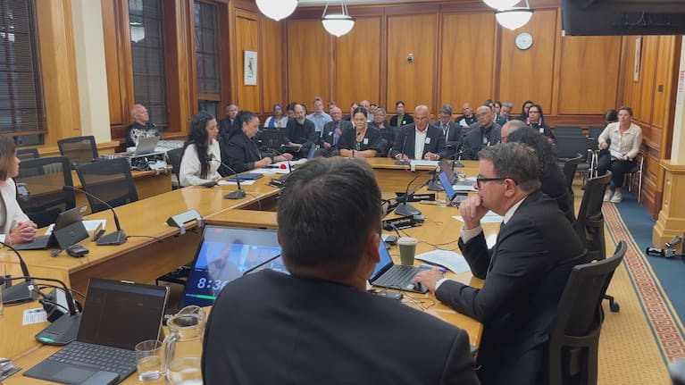 Up to 80 hours of submissions will be heard after the Bill received an unprecedented number of written responses.