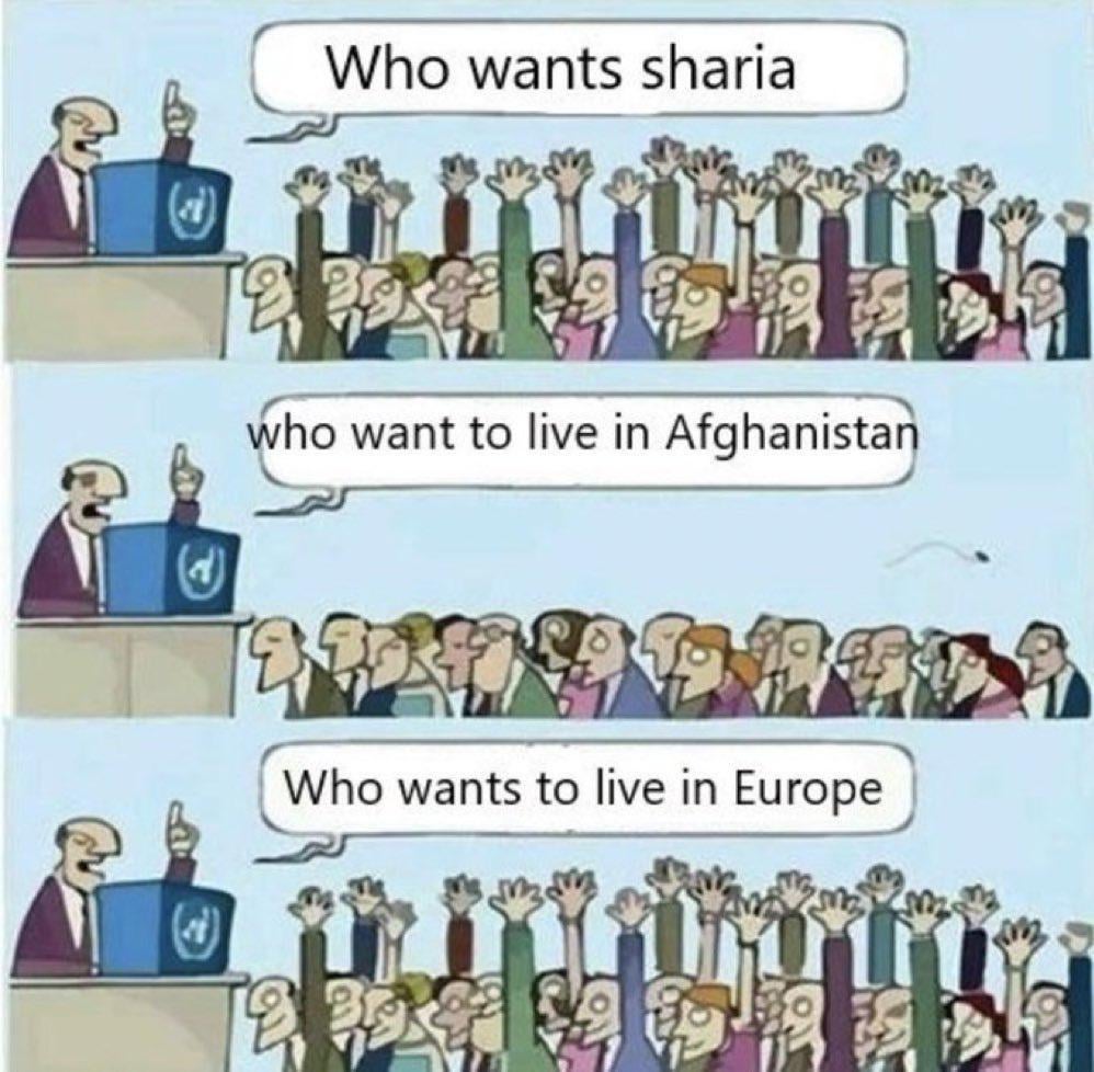 "If the Arabs had the choice between two states, secular and religious, they would vote for the religious and flee to the secular." ~Ali Al-Wardi (Iraqi sociologist)