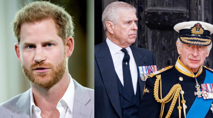 King Charles turns deaf ear to Harry, Andrew controversies with latest move