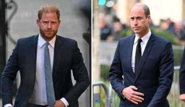 Prince William leaving UK just as Prince Harry returns amid rift