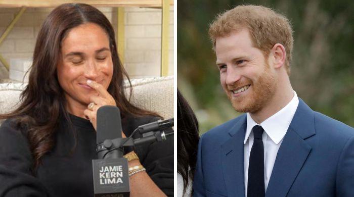 Meghan Markle blushes over Prince Harry's viral remarks about her