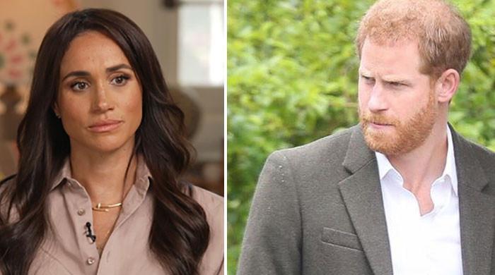 Prince Harry and Meghan Markle up in arms over Archie, Lilibet's business cameos