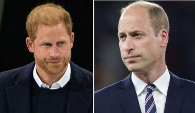 Prince Harry handed a harsh warning amid Prince William's wait for Kingship