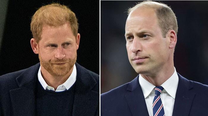 Prince Harry handed a harsh warning amid Prince William's wait for Kingship