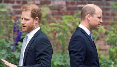 Prince Harry stands at crossroads as William moves forward