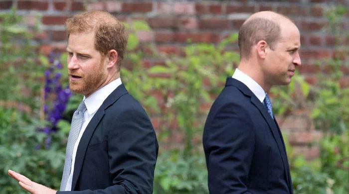 Prince Harry stands at crossroads as William moves forward