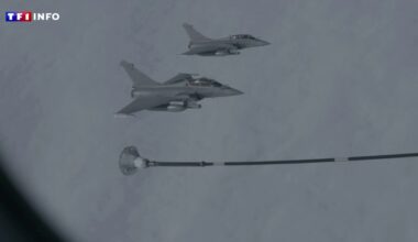 LCI SUR LE TERRAIN - Otan : l'exercice grandeur nature aux Pays-Bas