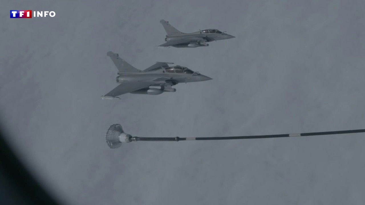 LCI SUR LE TERRAIN - Otan : l'exercice grandeur nature aux Pays-Bas