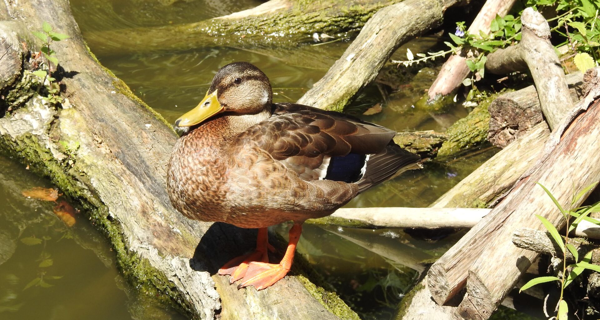 Aufwärmen und die Sonne genießen