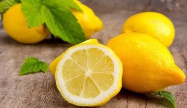 Turkey’s short-lived ban on lemon exports helped Egypt boost revenues • EastFruit