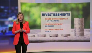 Plus de 1.200 milliards: le patrimoine financier des Belges a atteint un record en 2024, comment l'expliquer?