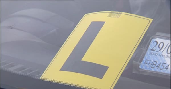 Major overhaul of driver's licence system proposed