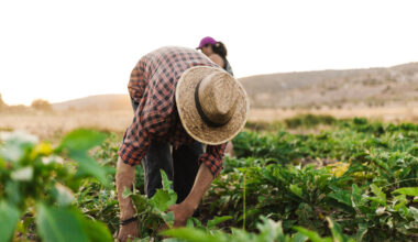 The Future of Sustainability Reporting