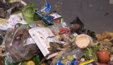 New partnership turns excess food from Chicago area Mariano's stores into compost, natural gas