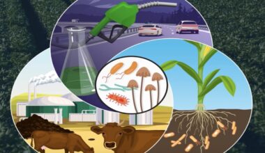 A new report identifies three microbial solutions that could help humans mitigate the negative impacts of climate change