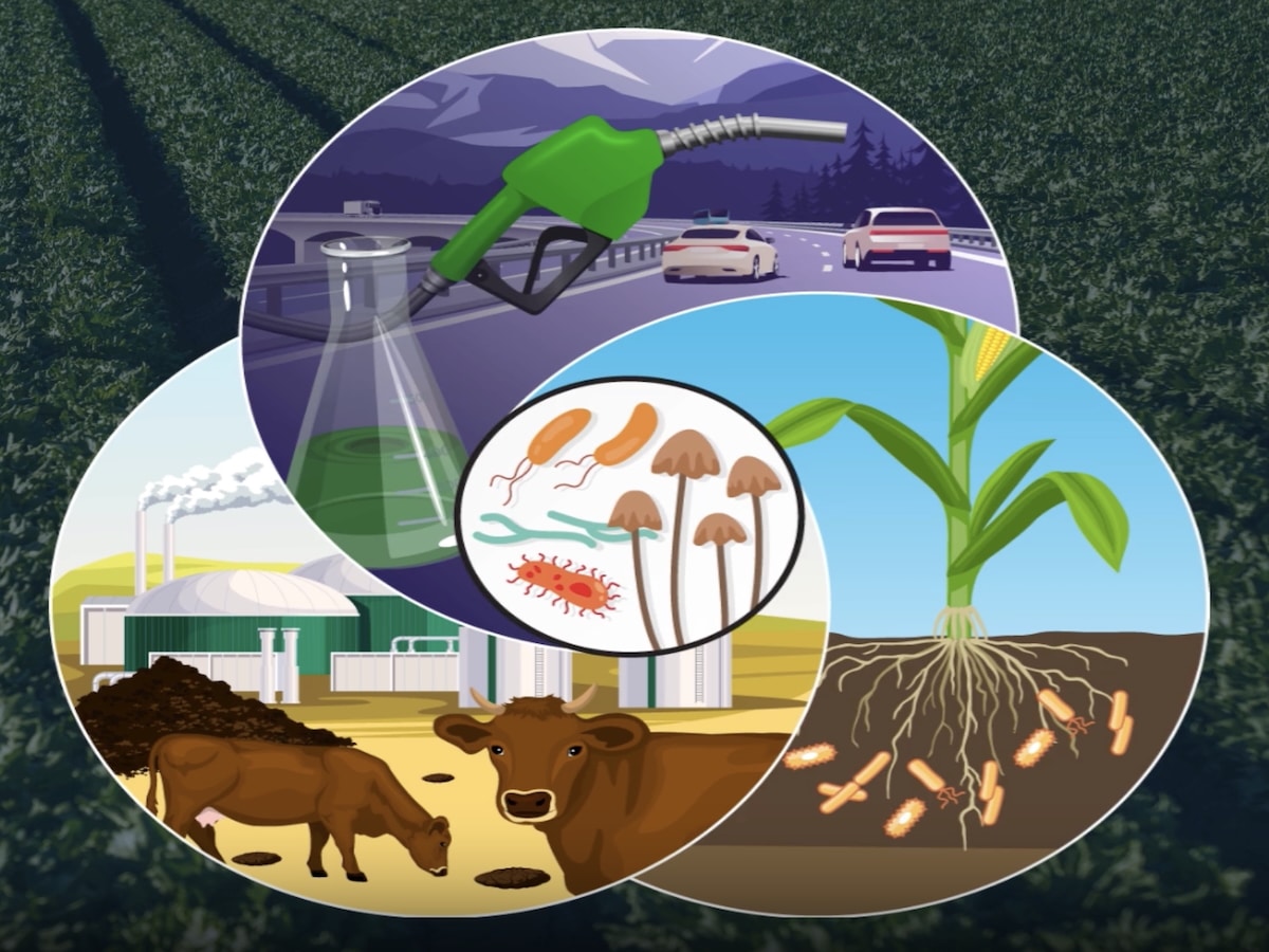 A new report identifies three microbial solutions that could help humans mitigate the negative impacts of climate change