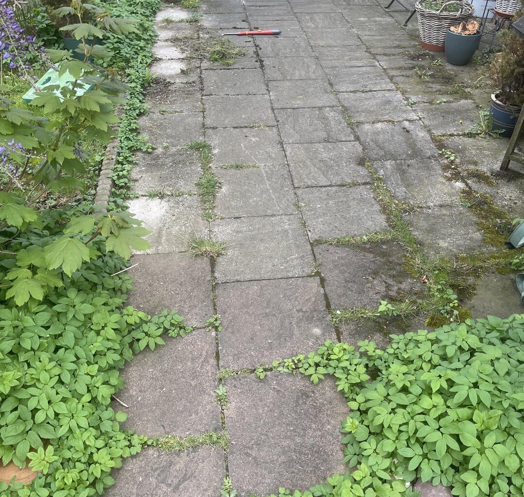 Terrassen Transformation. Tipps bzgl Dekoration bzw Einrichtung?