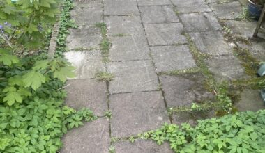 Terrassen Transformation. Tipps bzgl Dekoration bzw Einrichtung?