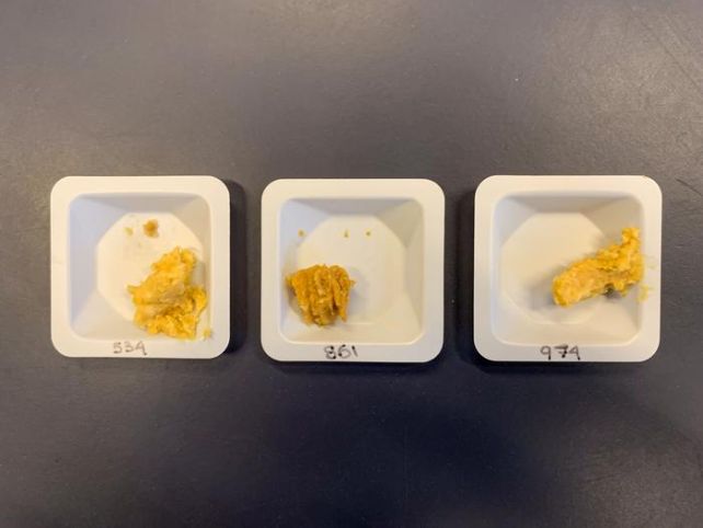 Miso Made in Space Tastes Different From Earth Miso