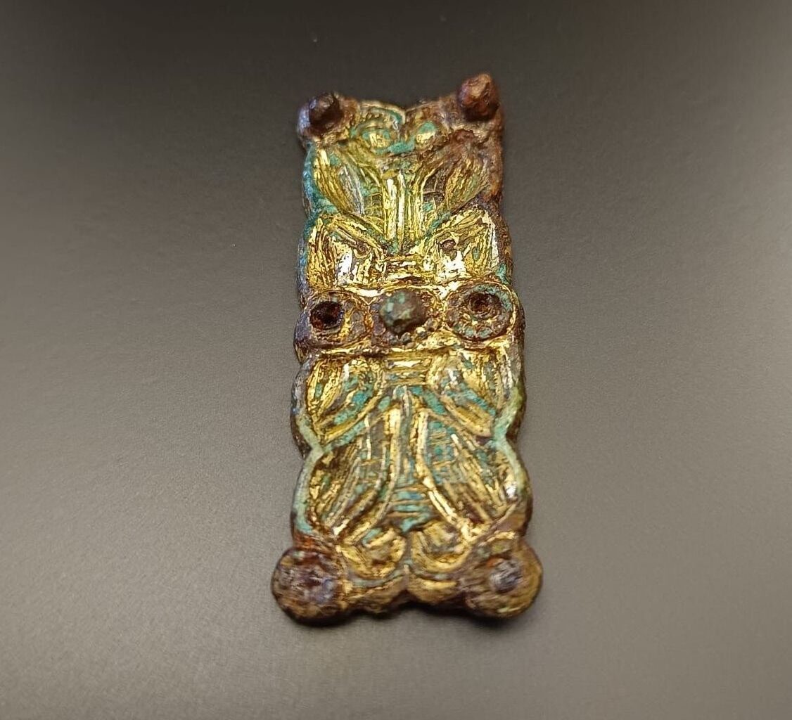 Medieval Settlement Unearthed in Germany Reveals Rare Sword Belt Fitting