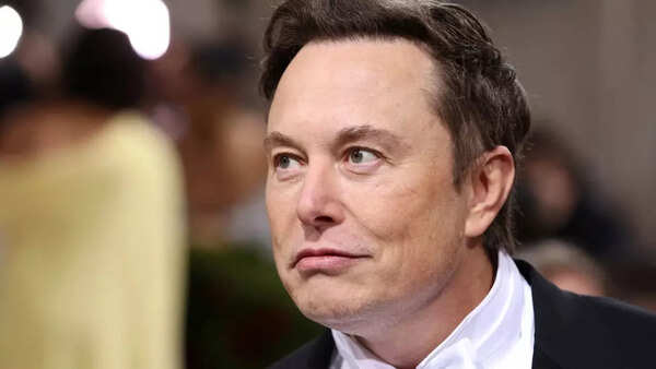Musk (5)