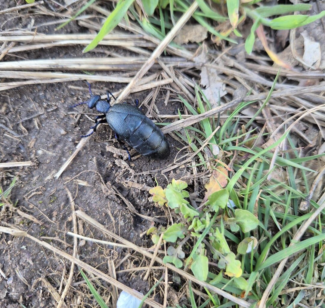 Was ist das für ein kleiner racker?