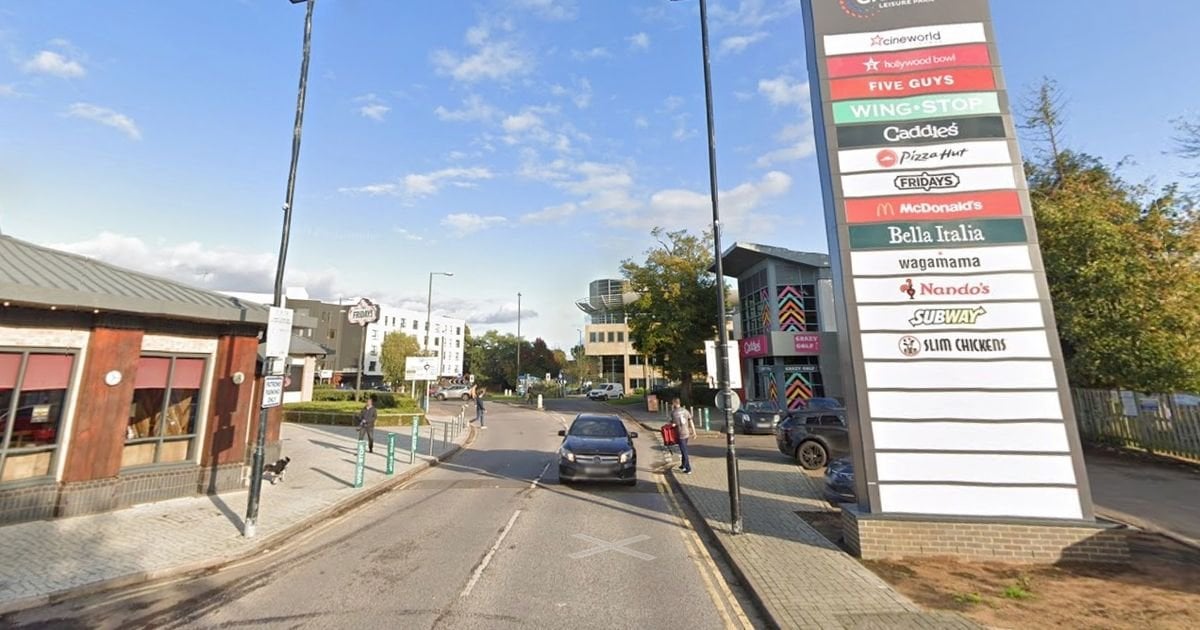 Woman killed in UK leisure park horror as car crashes into family
