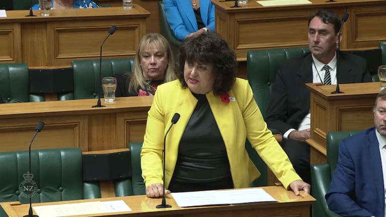 New Zealand First's Casey Costello speaks at the second reading of the Treaty Principles Bill.