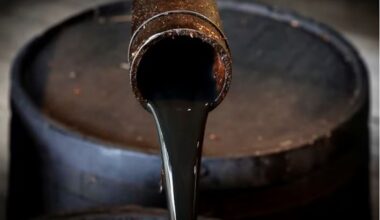 India may have to raise oil, gas imports from US