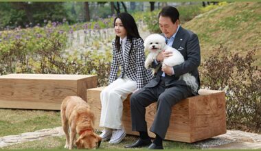 South Korea’s ex-first couple to take 11 pets when they move out presidential residence on Friday