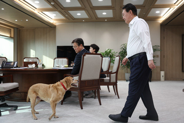 South Korea’s ex-first couple to take 11 pets when they move out presidential residence on Friday