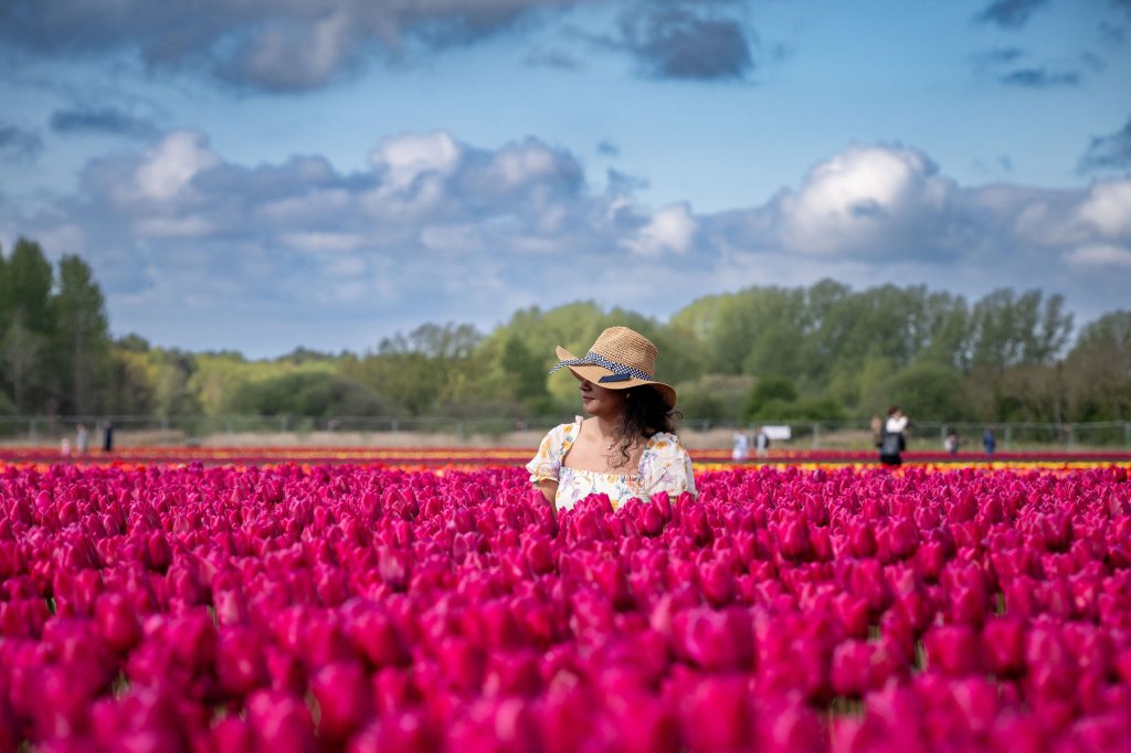 woman with a sunhat in a field of pink tulips