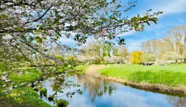 Summer weather expected over Easter holidays in Latvia / Article