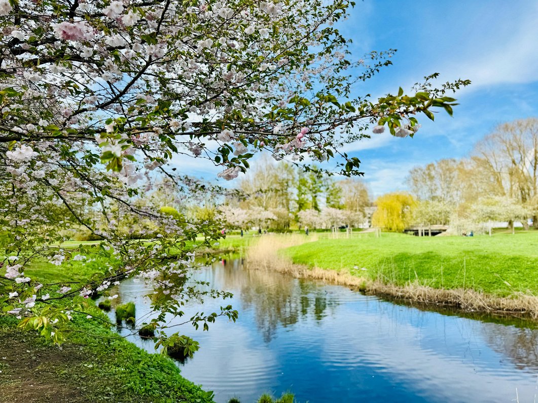 Summer weather expected over Easter holidays in Latvia / Article