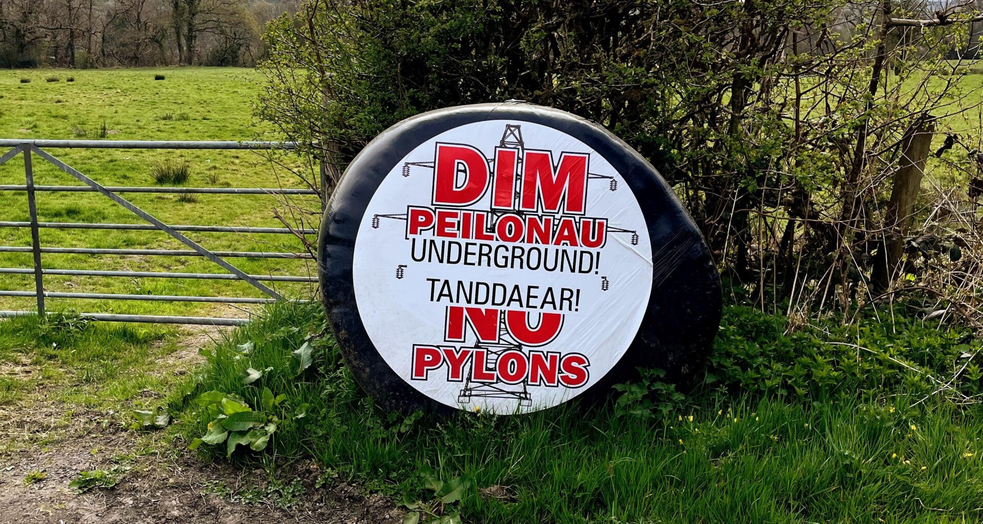 No Pylons