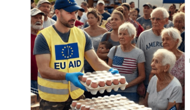 Americaid