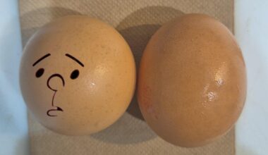 Saw an egg that reminded me of Karl Pilkington