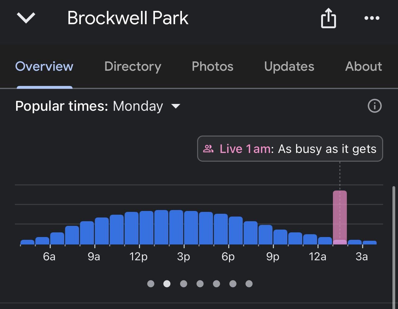 What’s going on in Brockwell Park at this time of night?