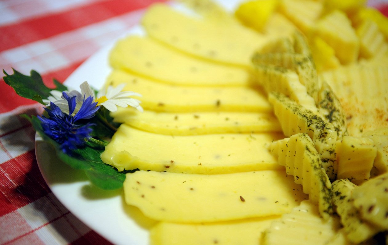 Are you the future of cheese? Apply below. / Article