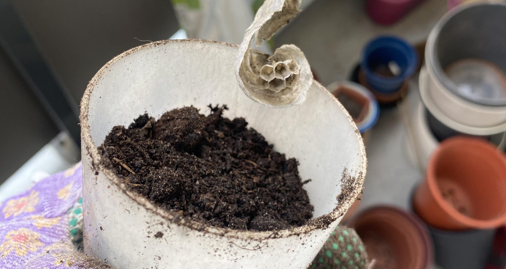 Wer war das in meinem Sack Blumenerde?