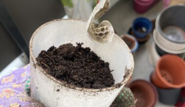 Wer war das in meinem Sack Blumenerde?